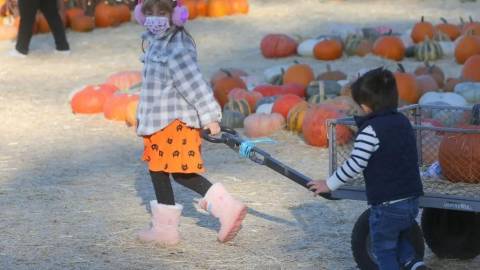 There's Still Time To Catch Fall Festivals Near Concord