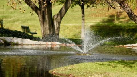Top High Schools Near Concord, CA: Quality Education in the Heart of the East Bay