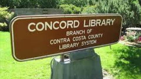 Guess the Pumpkin's Weight