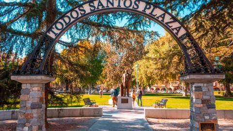 How to Travel Responsibly in California