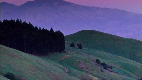 Full Pink Supermoon: See this bright orb in your backyard