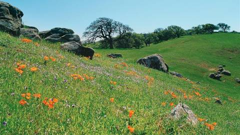 Cleaner Contra Costa FALL CHALLENGE: November Update!