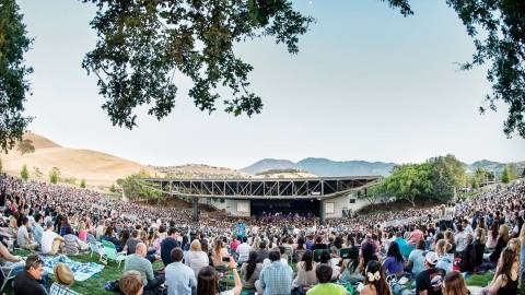 A large lawn full of people at Concord Pavilion