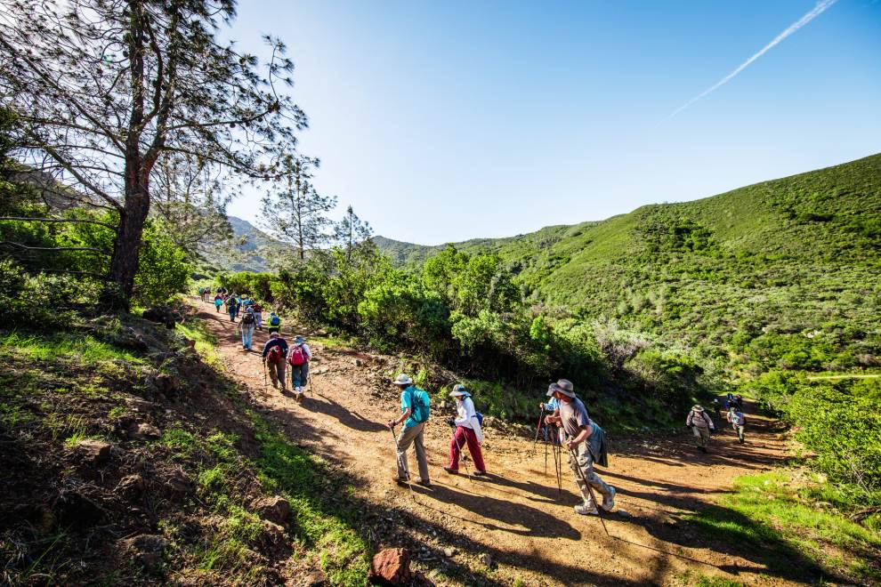 Group of hikers climbing up a hillside trail