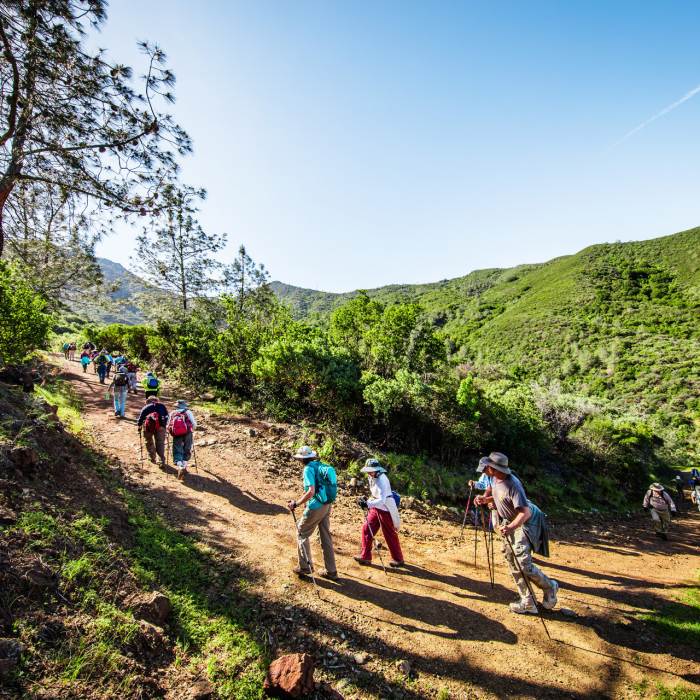 Group of hikers climbing up a hillside trail