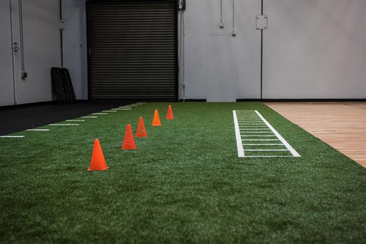 cones lined up on fake grass