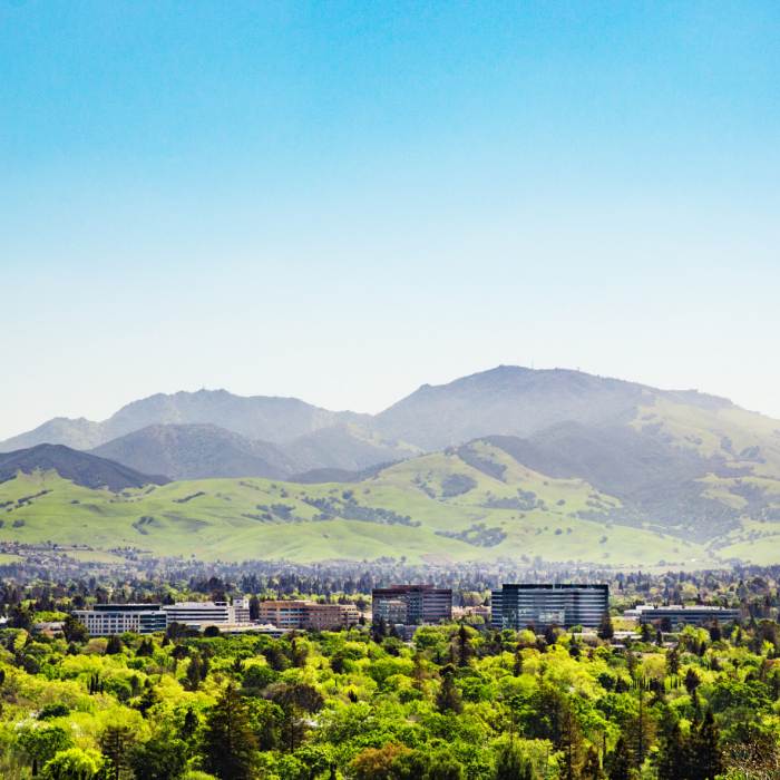 Landscape view with Mount Diablo in the background
