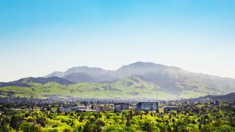 Landscape view with Mount Diablo in the background