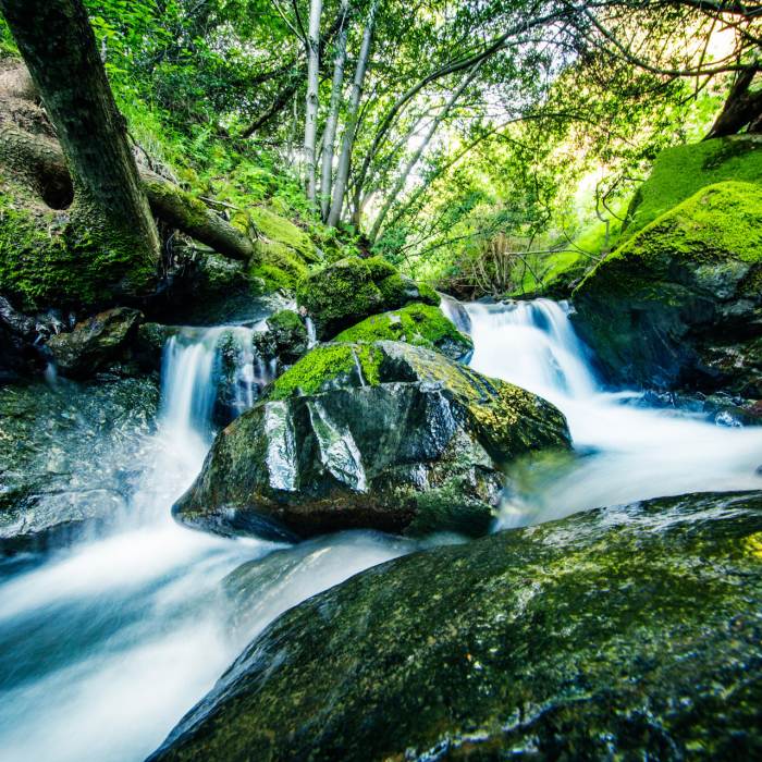 Secluded waterfall surrounded by mossy rocks