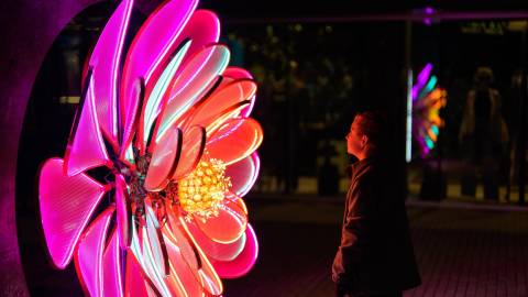 Creative Concord 2023: Illuminated Sculptures