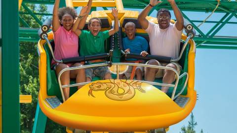 New Sidewinder Safari Coaster, Opens at Six Flags Discovery Kingdom
