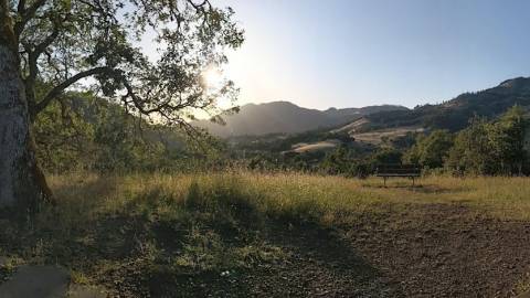 Spring Wellness Walk