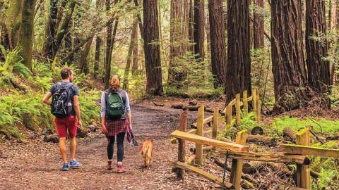 Trails Challenge 2023