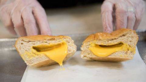 Concord Loves Zombies